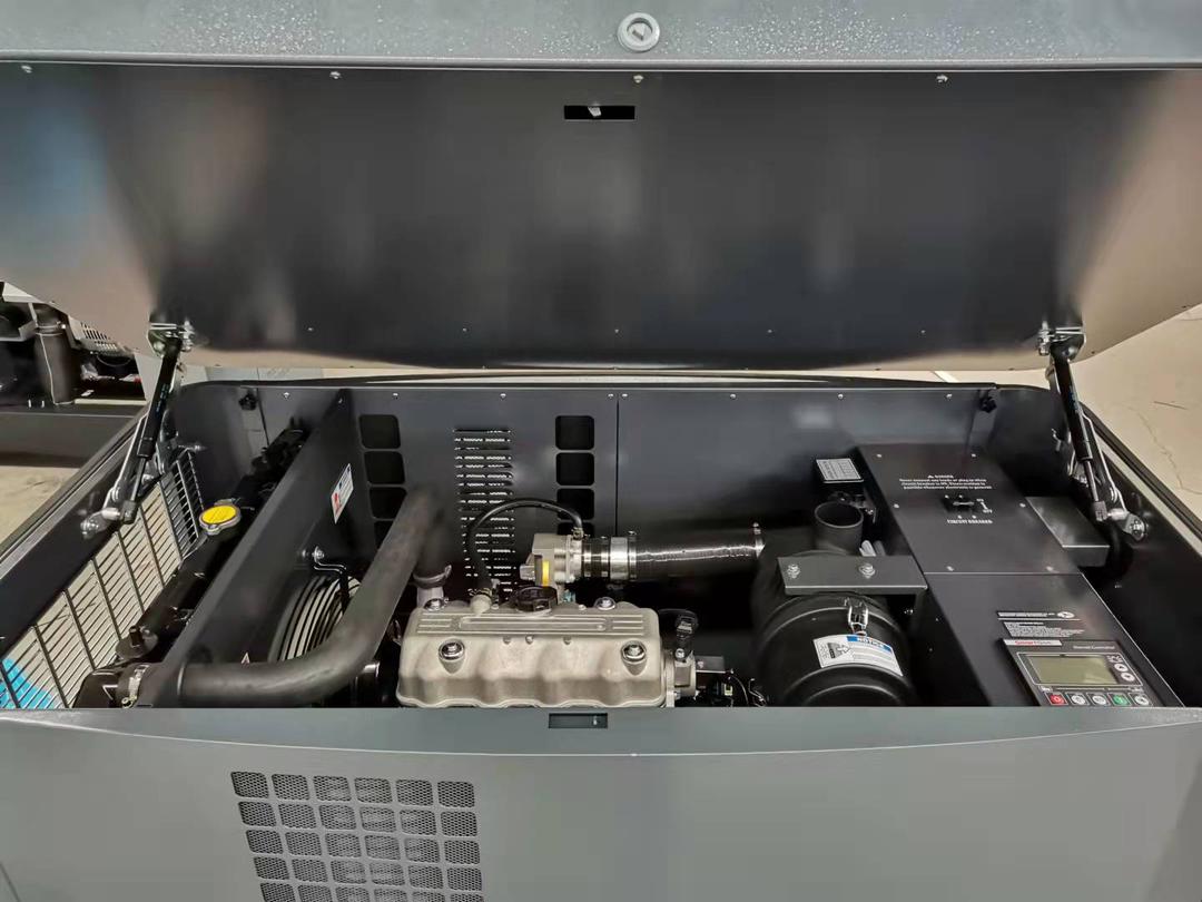 20 kW Natural Gas/Propane Generator (208/120V Three Phase 60Hz)